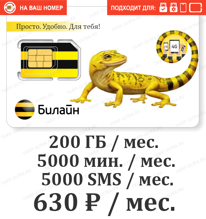 Тариф х5 310 билайн описание