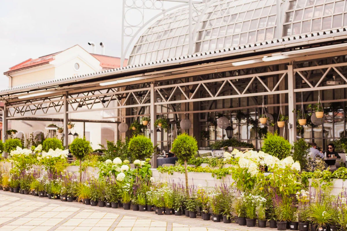 Банкеты в Пикнике