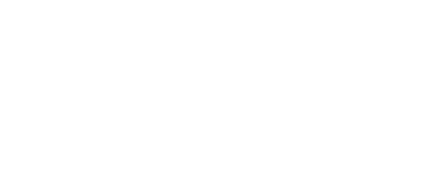Lyuba tours