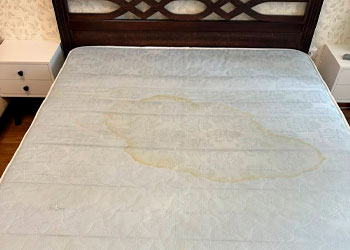 После проекта 8