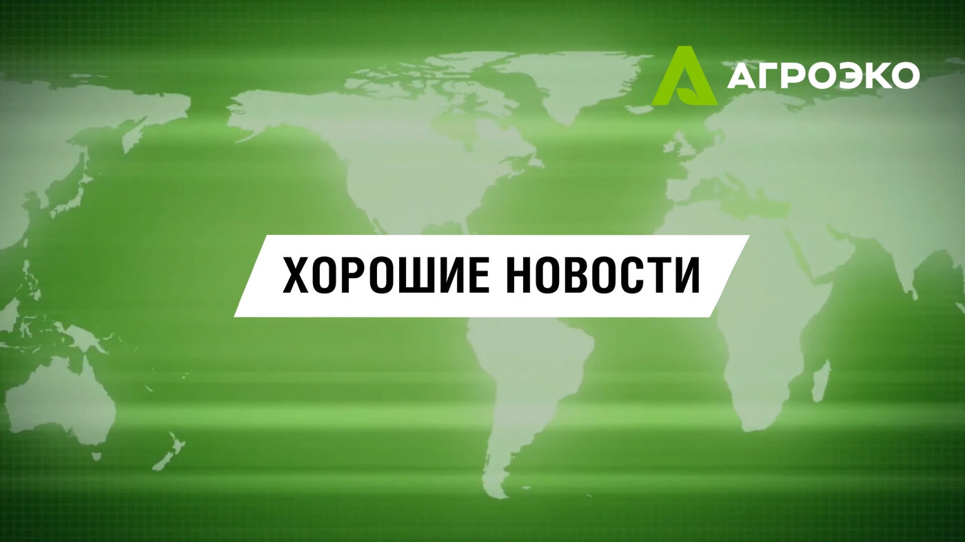 АГРОЭКО · HR-кампания – материал проекта