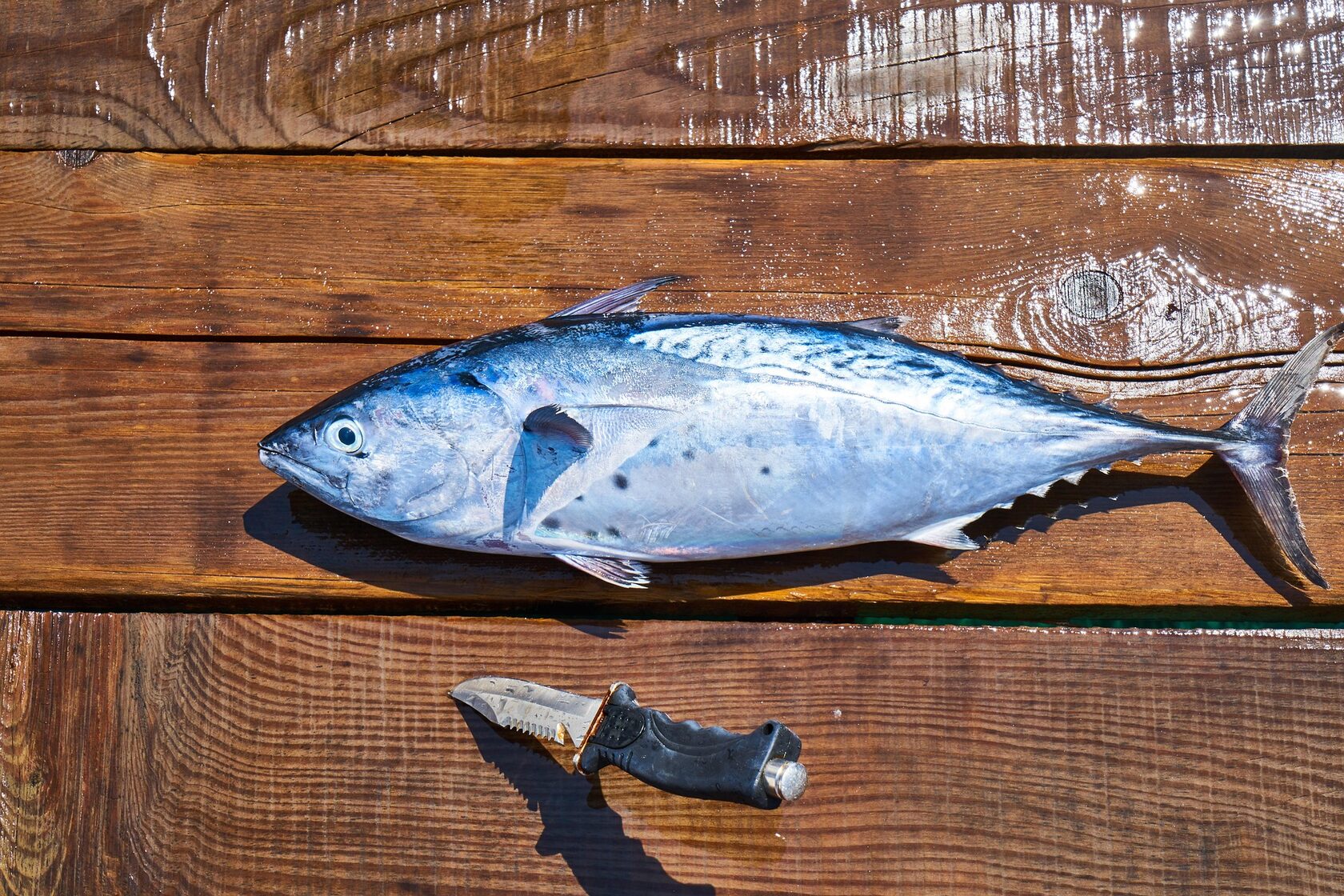Omega 3 deficit