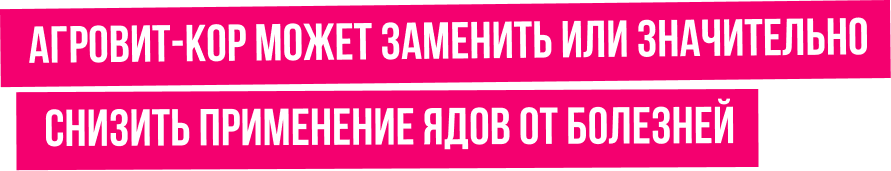 Агровит Кор Удобрение Купить В Волгограде