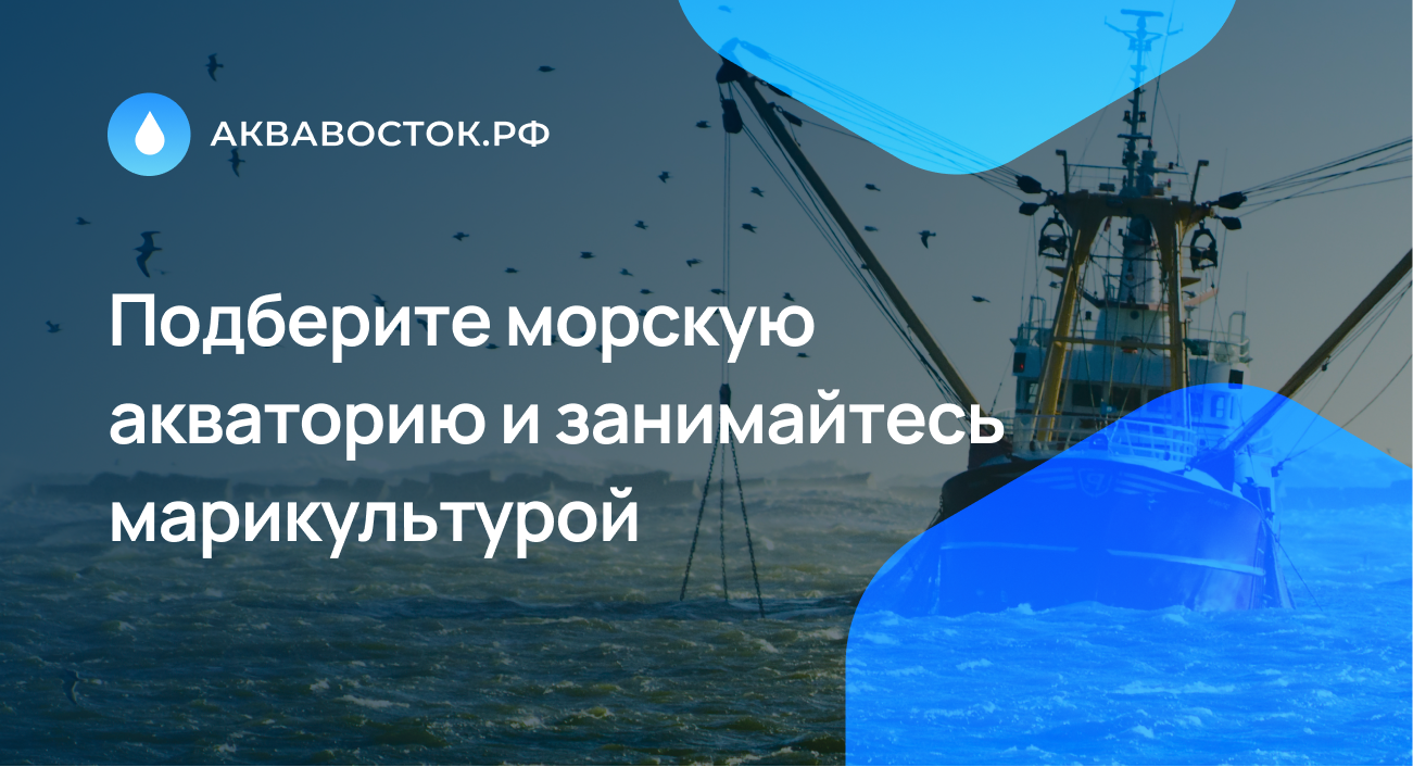 Обрастание установок марикультуры Приморского гребешка в заливе Петра Великого (Японское море)