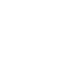 Южный федеральный университет