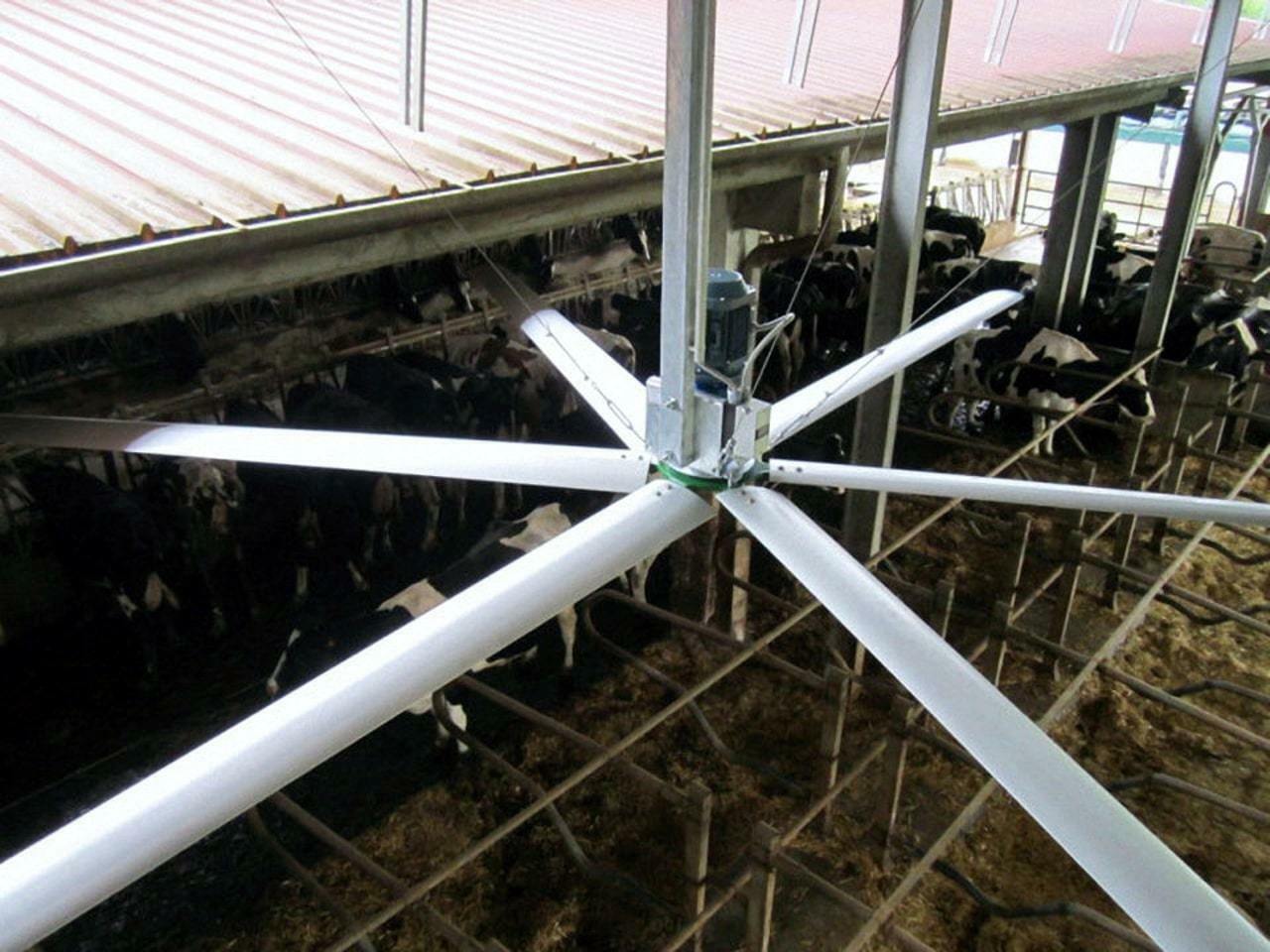 Промышленные вентиляторы для эффективного воздухообмена в животноводческом помещении