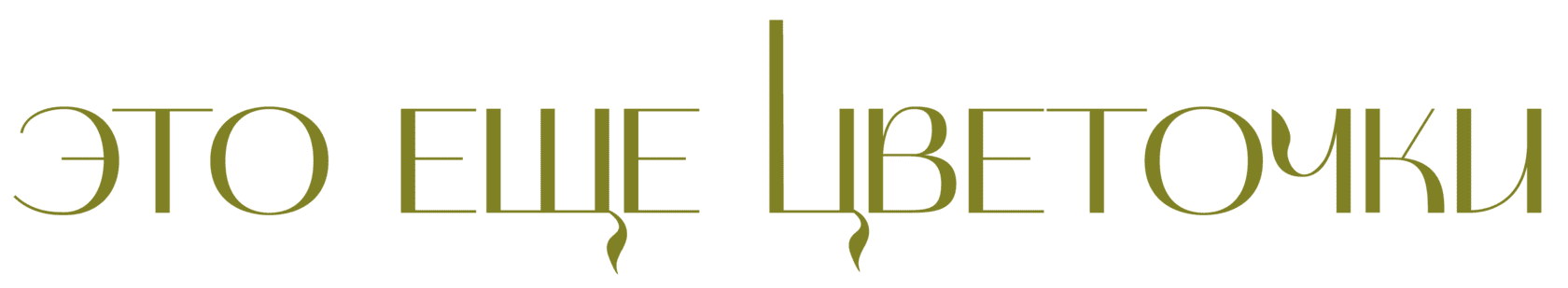 Company name