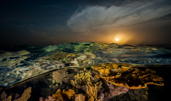 закат на Кубе, подводный мир 