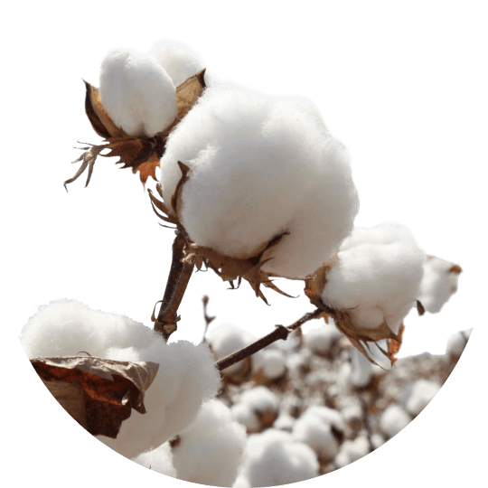 мягкий подгузник доктор грис