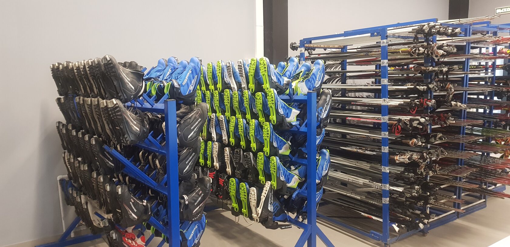 Спорт прокат