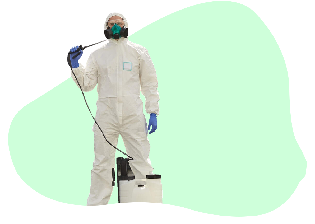 Уничтожение насекомых в Москве и МО | Dez Kontrol