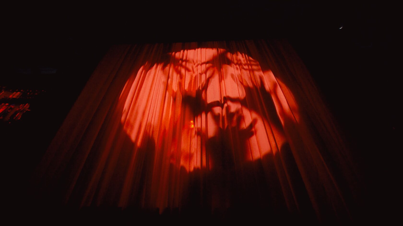 MEETING THE SHADOW still