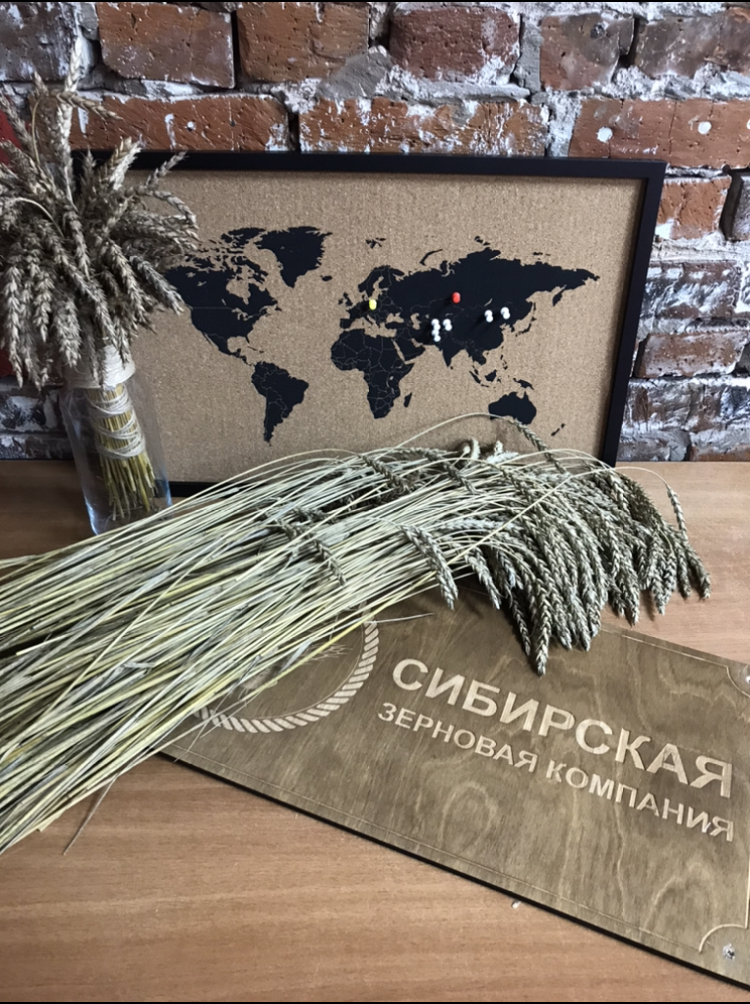 Сибирская зерновая компания