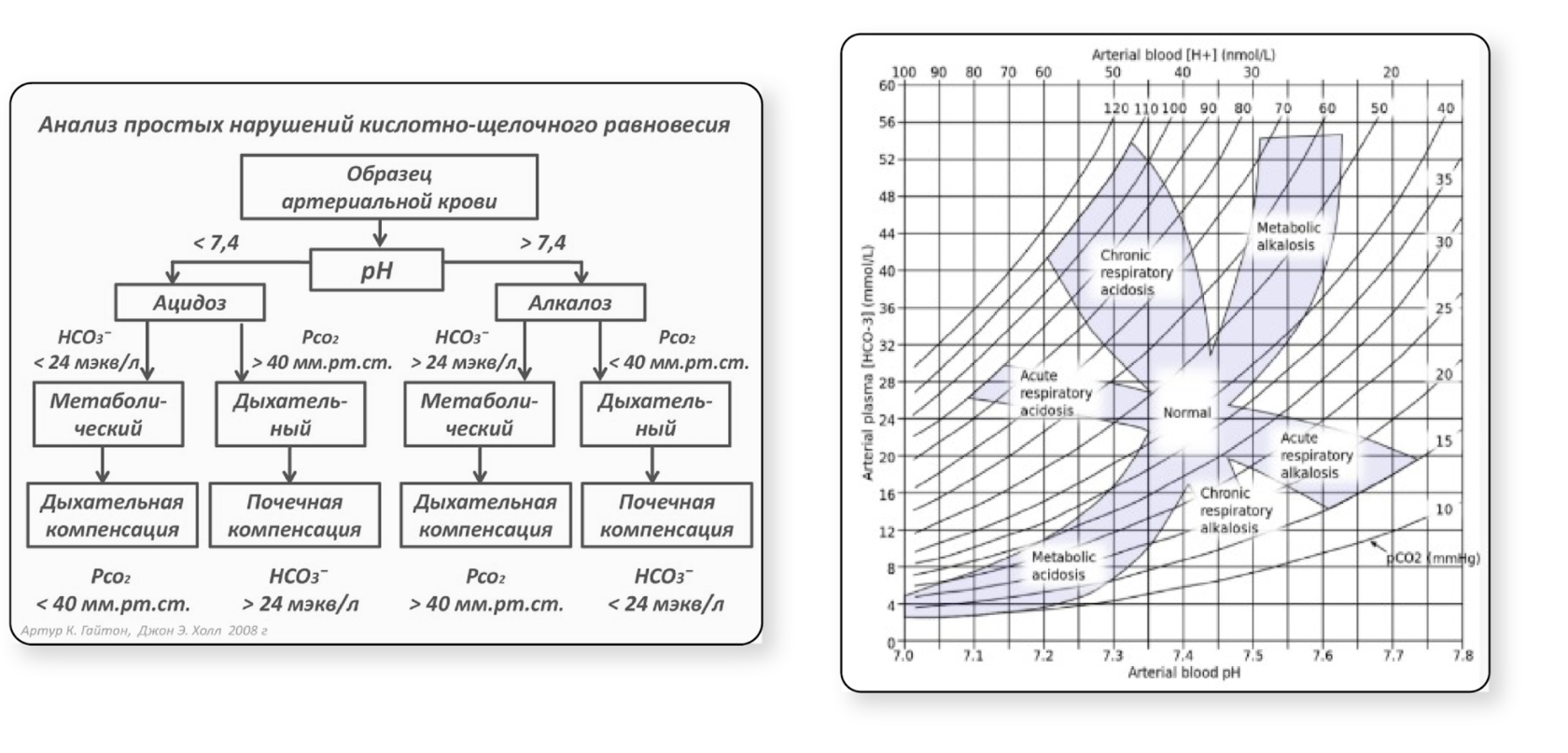 Анализ простых нарушений кислотно-щелочного равновесия | Sechenov Universkill
