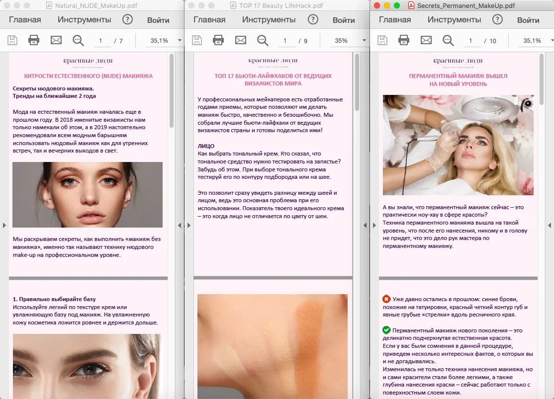 Лидмагниты PDF