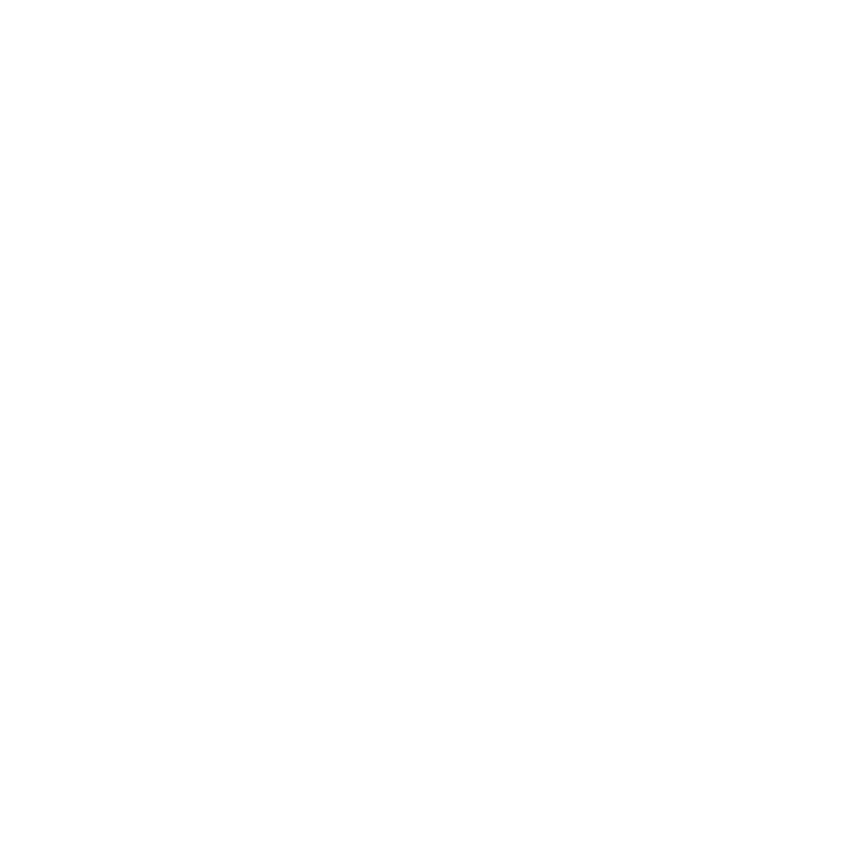 ПЛОТНИКОФФ