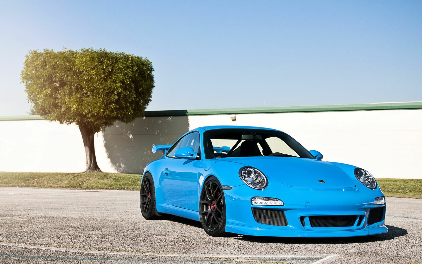 Порше 911 картина