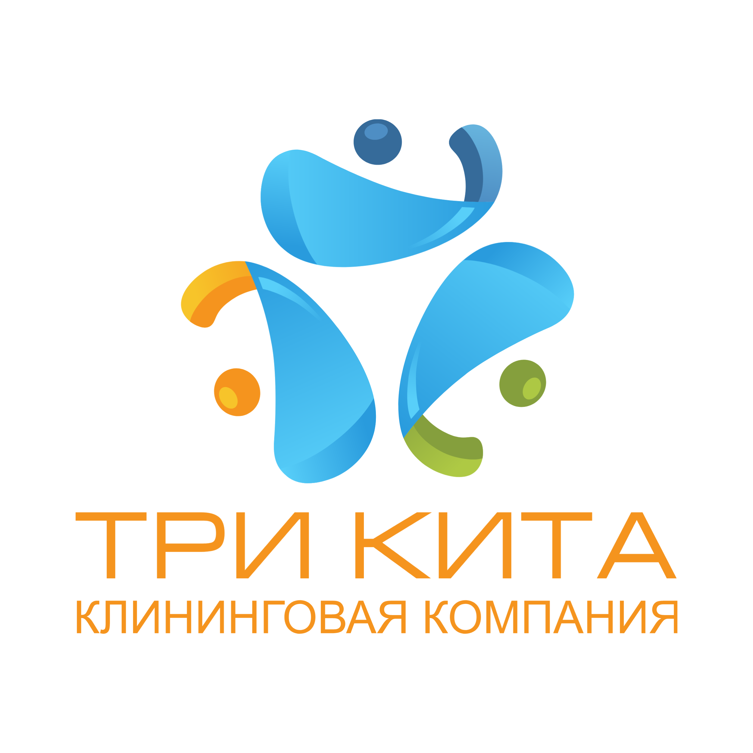 Три Кита: Профессиональная Клининговая Компания в Ставрополе