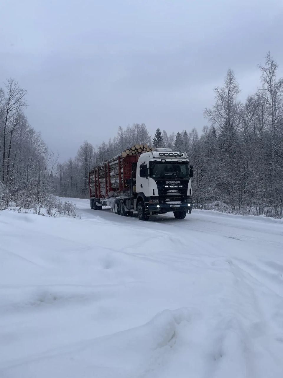 Бортовой полуприцеп везет бревна по заснежанной дороге