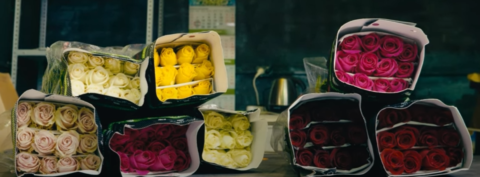 Розы от плантации Conflor