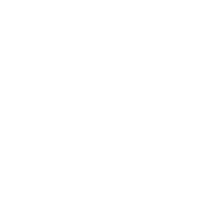 website icon
