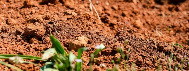 Как из суглинка и глины сделать плодородную почву