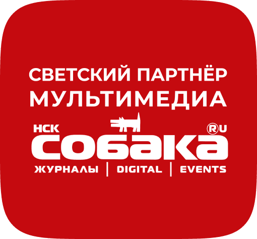 Светский партнёр