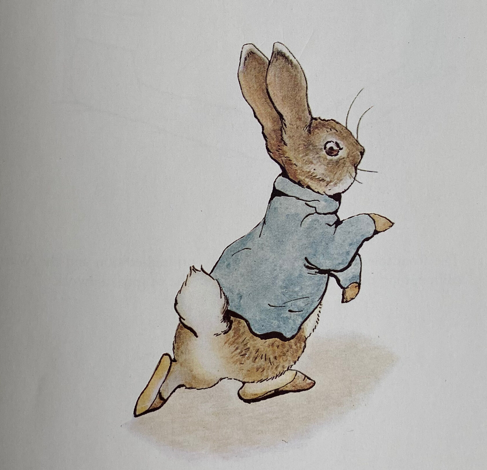 Игрушечные кролики и зайцы купить детские игрушки кролики и зайцы в интернет-магазине