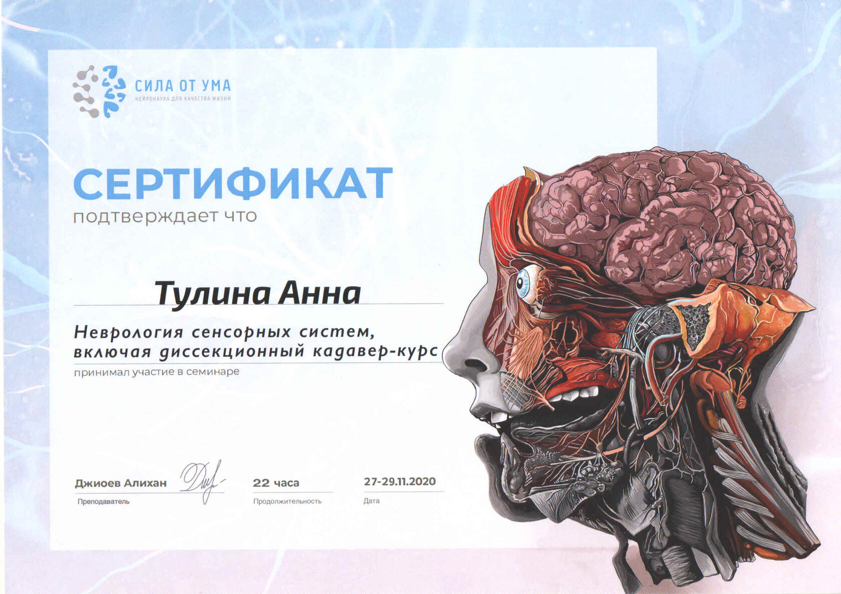 Сертификат курса 