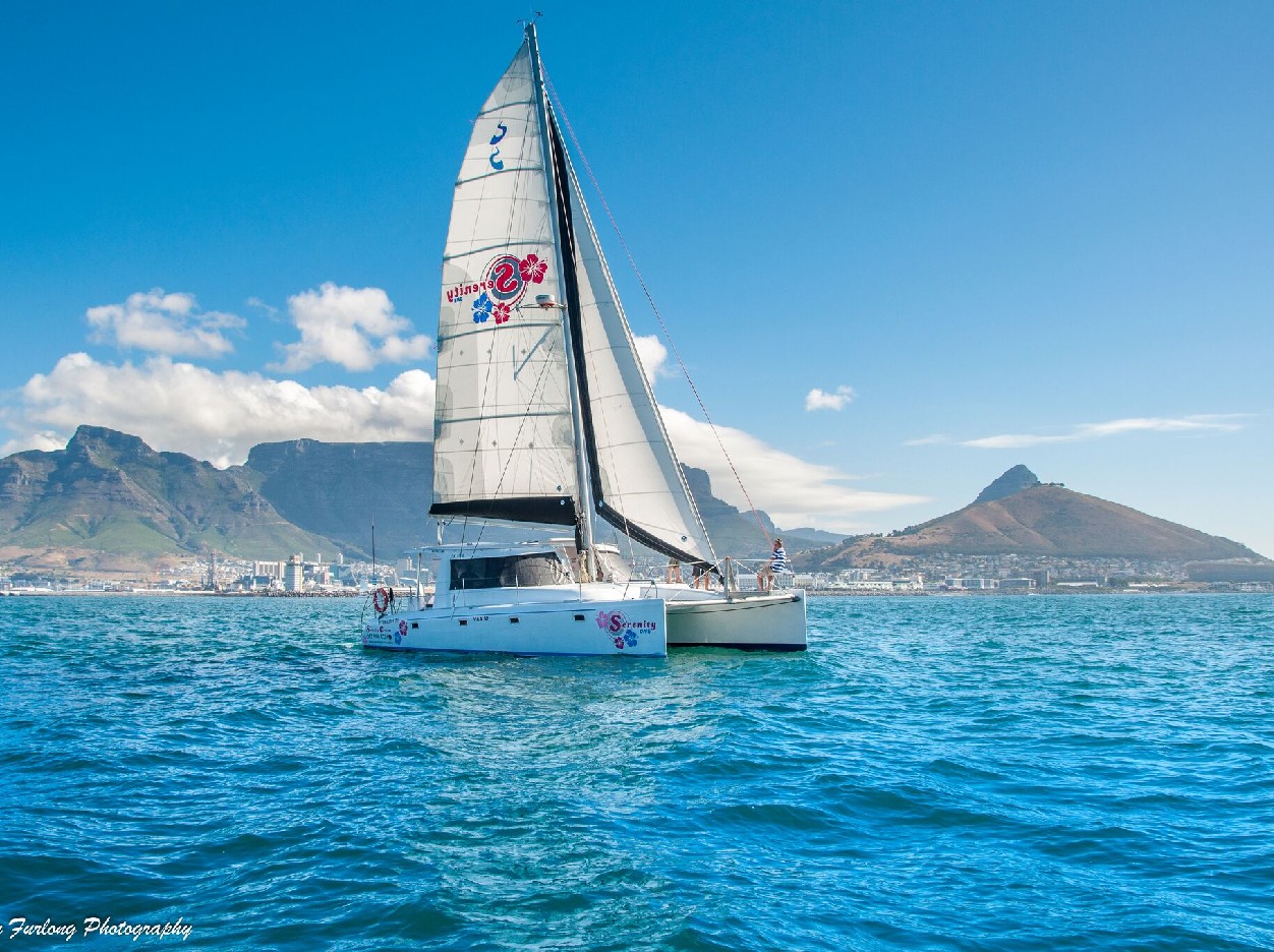 парусный катамаран #6 до 40 чел