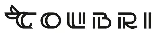 Логотип после доработки: Colibri