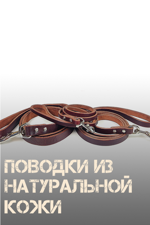 Аксессуары для собак и их владельцев Collar-Lux