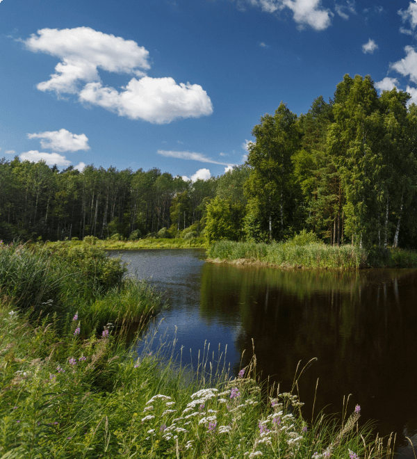 Валдайский национальный парк — официальный сайт
