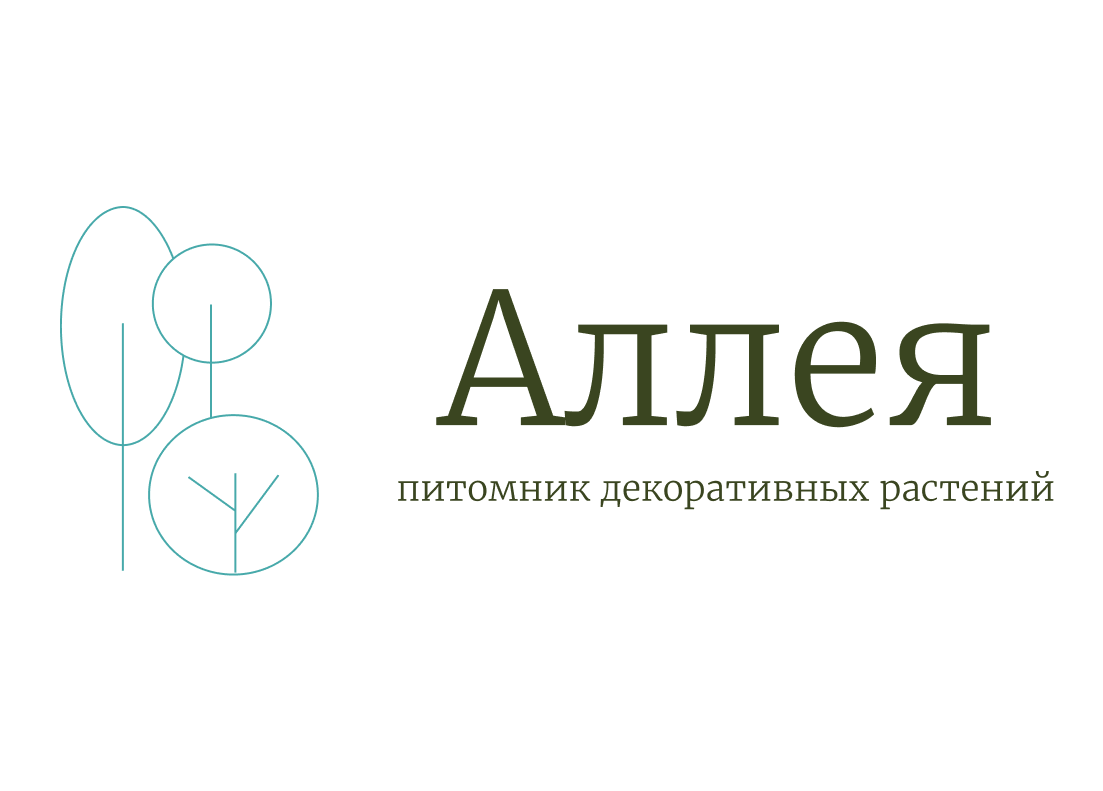 Аллея - питомник декоративных растений