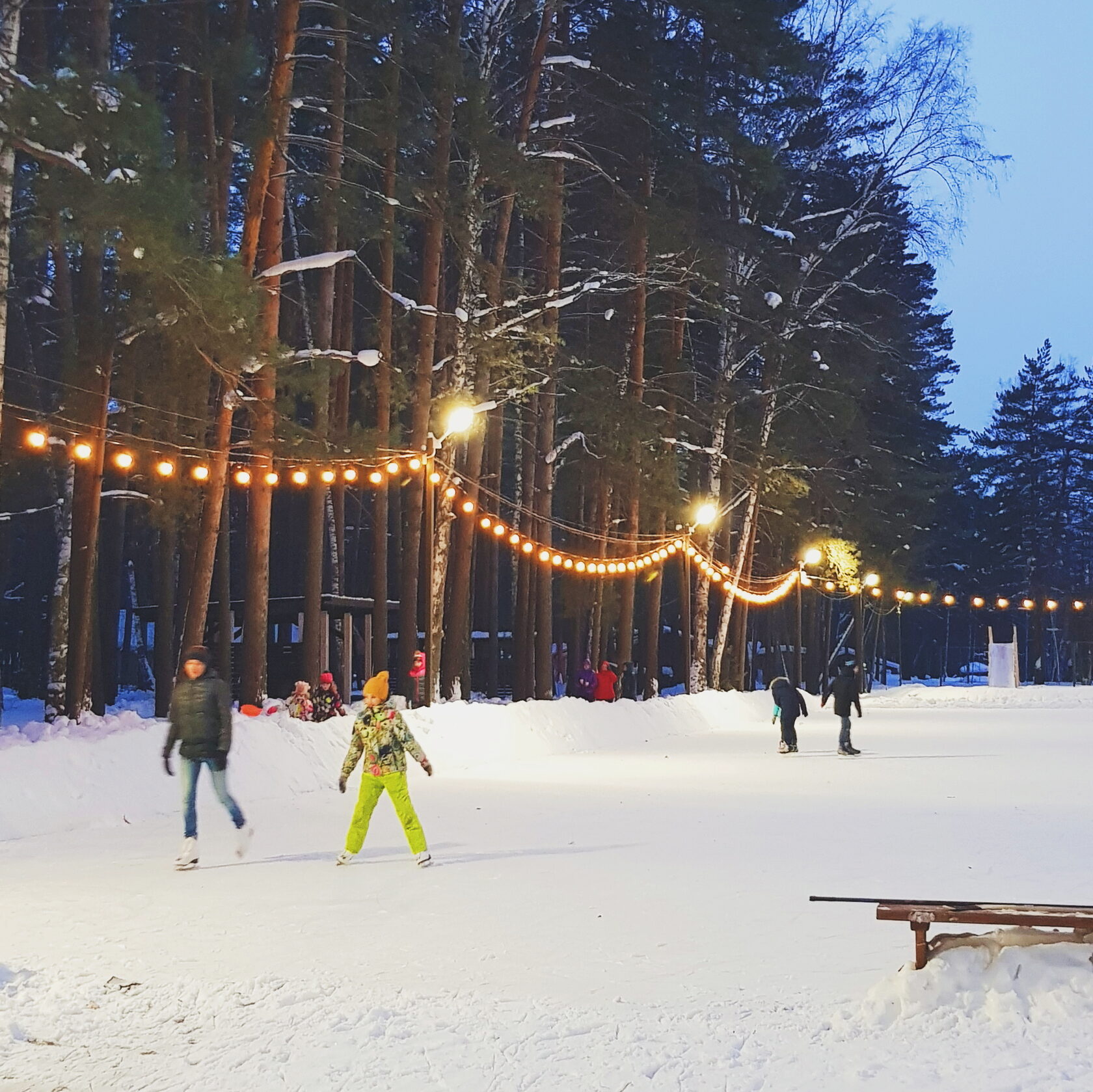 заельцовский парк новосибирск зимой