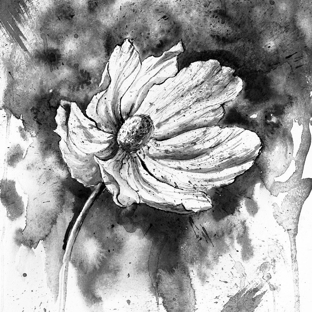 Ландшафтный дизайн с чего начать