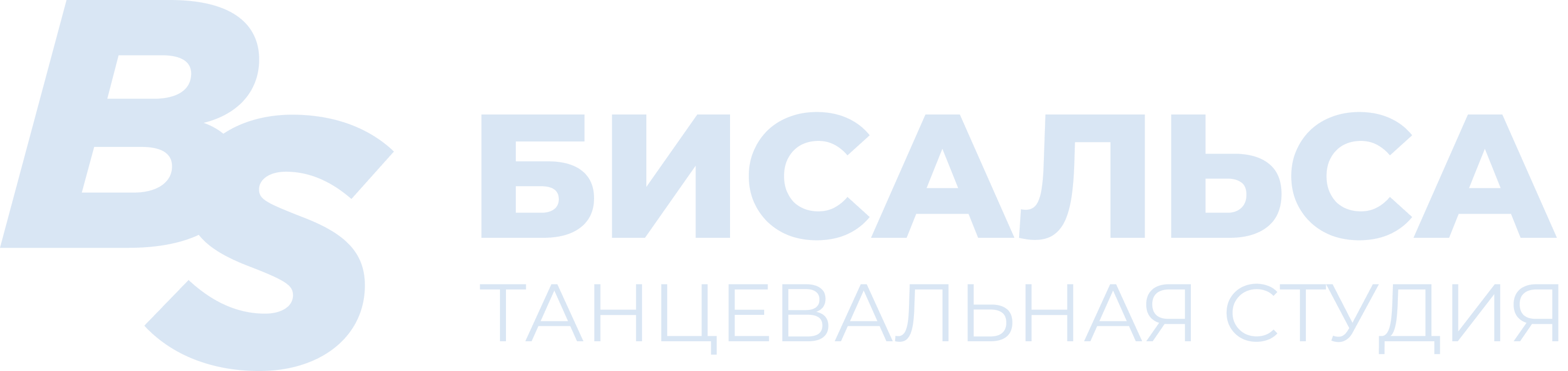 Be Salsa dance company