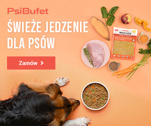 Świeże jedzenie dla psów z dostawą w całej Polsce od PsiBufet