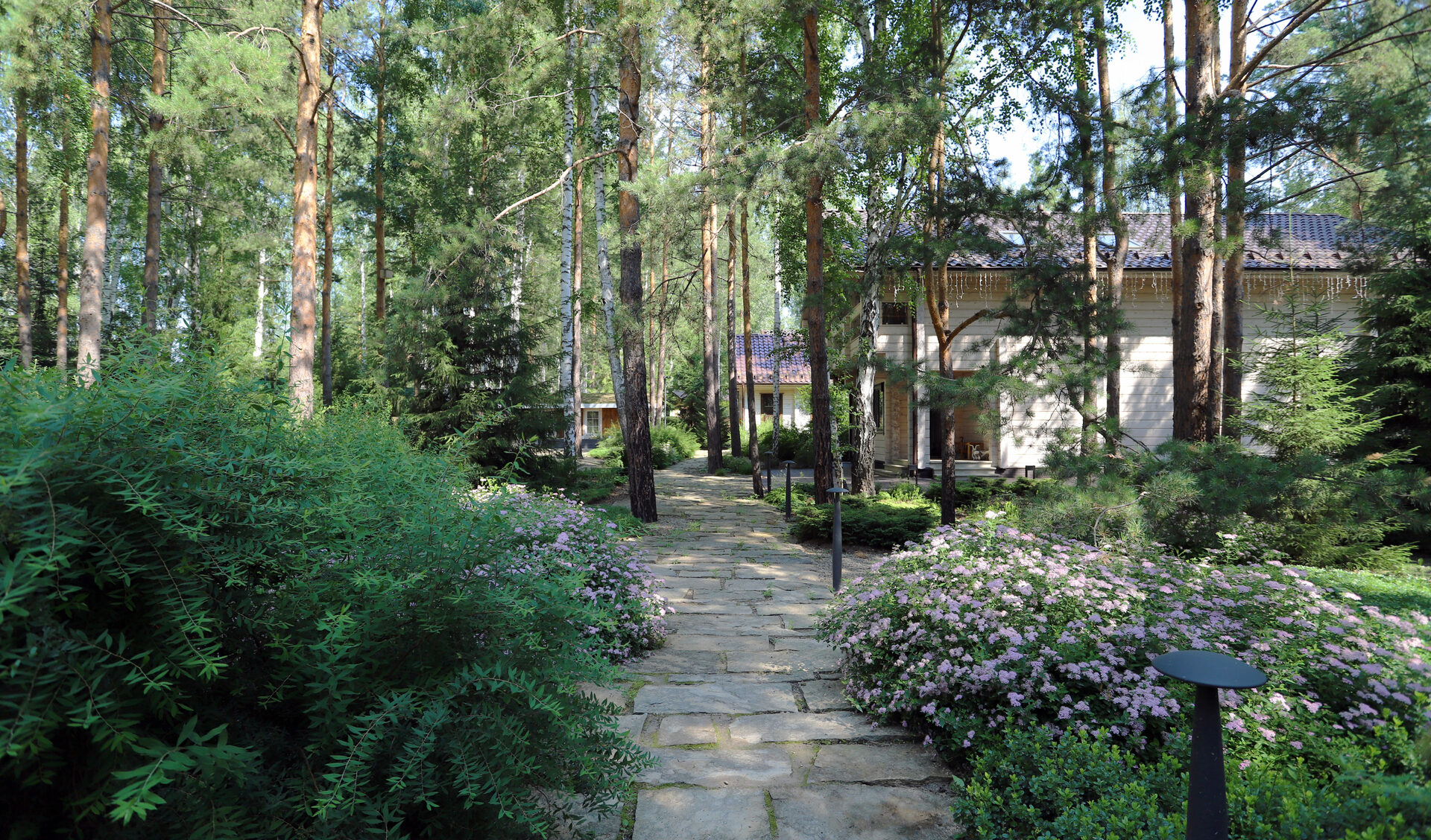 Лес и каменные плиты