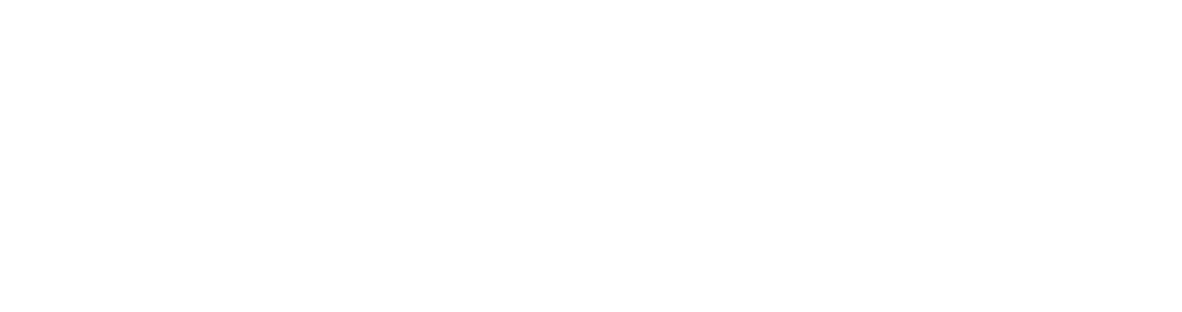 ALMI Partner
