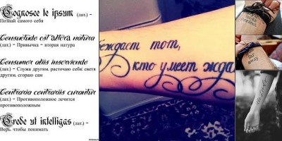Тату надписи на латыни их значения и перевод. Каталог фраз для татуировок от салона Tattoo Times