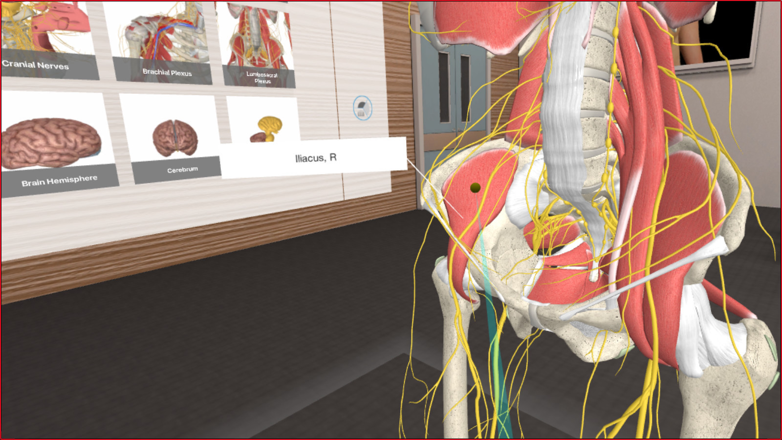 3D Organon VR Anatomy