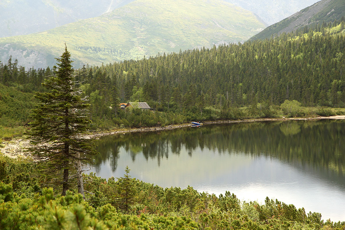 Сулук хабаровский край фото