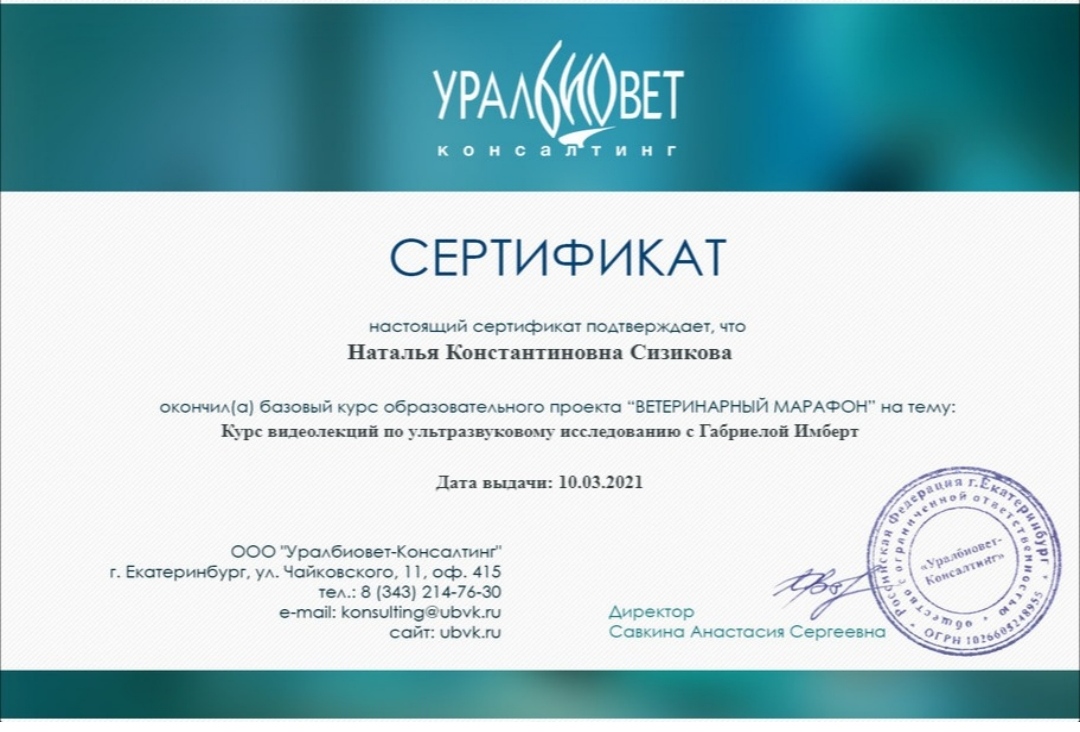 Сертификат об обучении 15