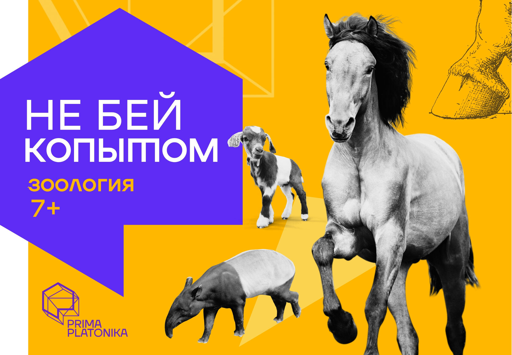 Онлайн-курс "Не бей копытом"