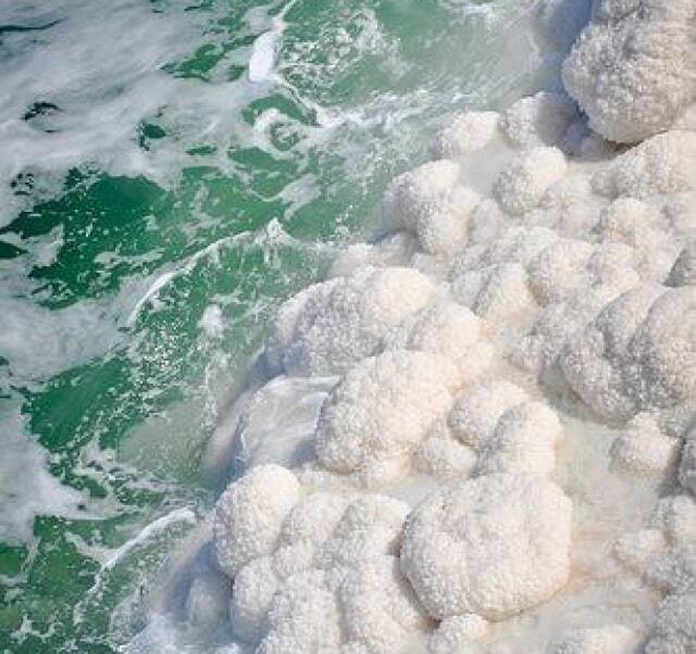 Море миру соль. Море миру соль