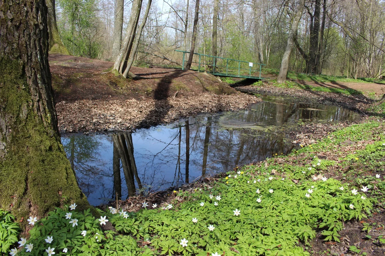 парк в пинске