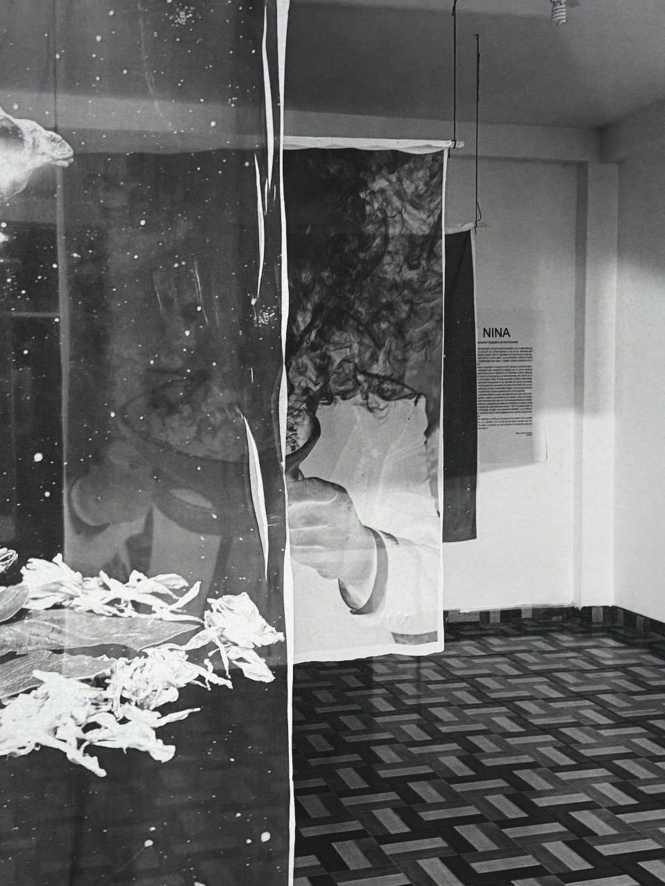 NINA — exhibition and visitors at domperú