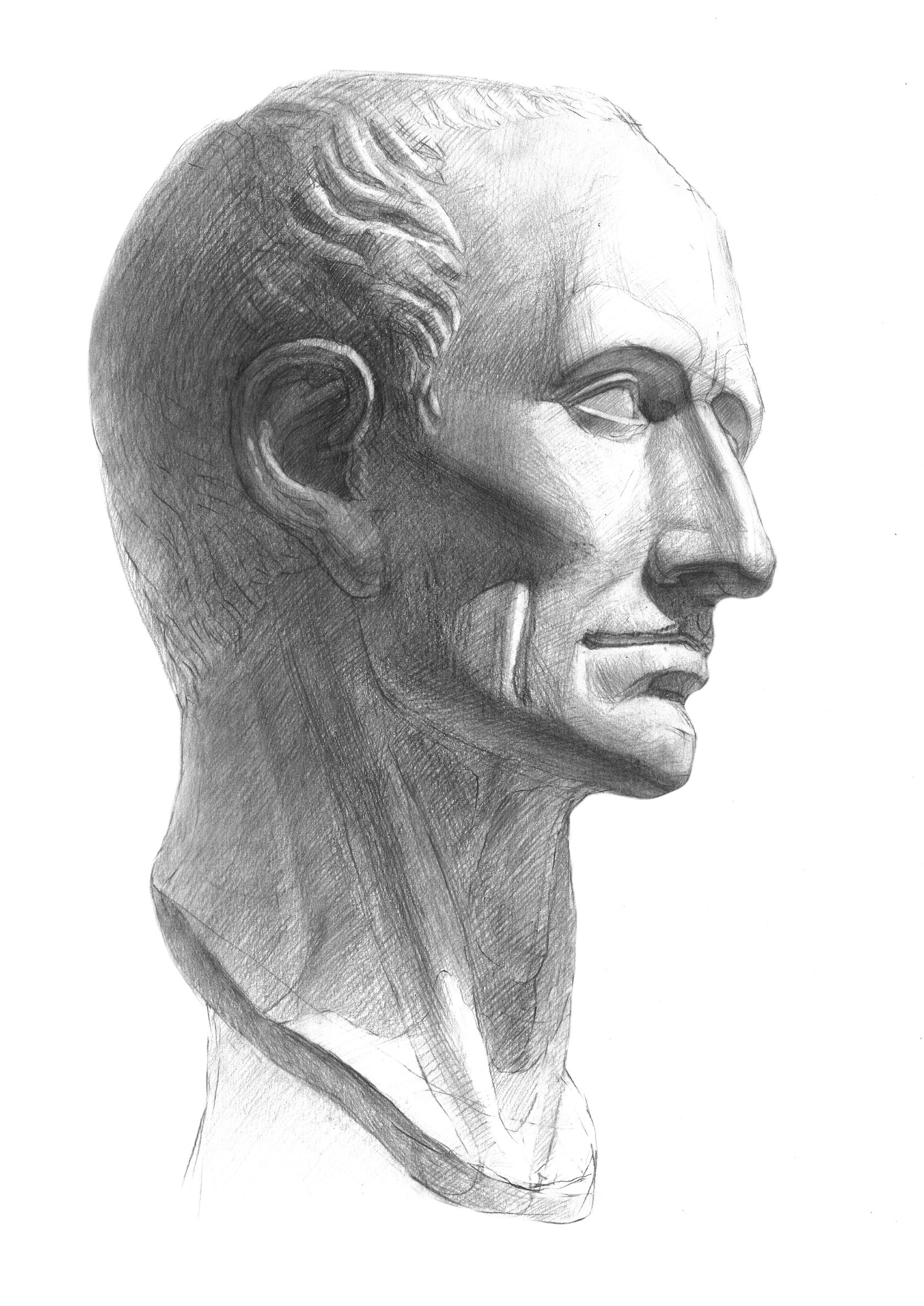 Цезарь рисунок головы
