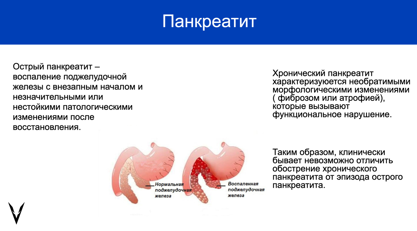 Панкреатит у животных. Факторы риска панкреатита. Факторы риска хронического панкреатита. Вебинар панкреатит у кошек и собак.